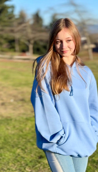 Polerón Hoodie One Color Unisex Celeste Frio
